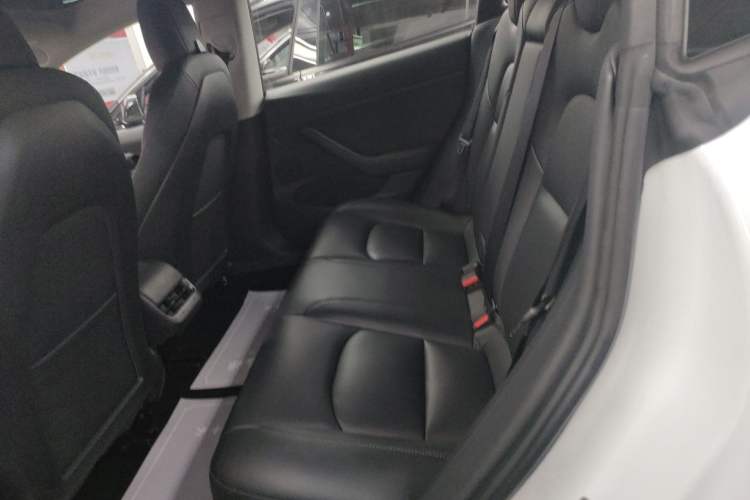 Used Tesla Model 3 2021 Performance High-Performance All-Wheel-Drive Version Left Rear Seat