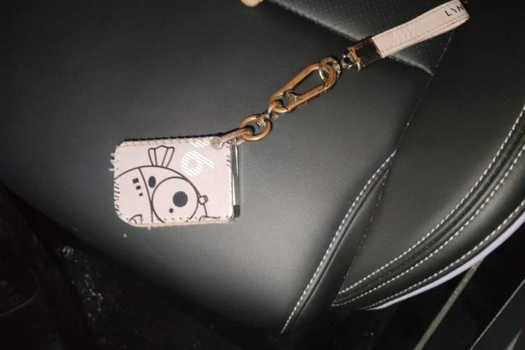 Used Lynk & Co 06 2021 1.5T Shero Pink Special Edition