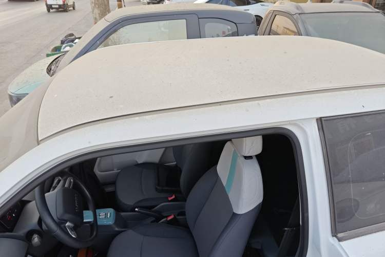 Used Qiyuan Lumin 2025 210 km Fragrant Edition
