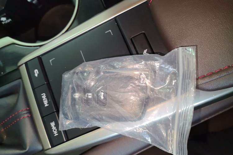 Used Lexus RX 2020 300 4x4 Elegant Edition China VI