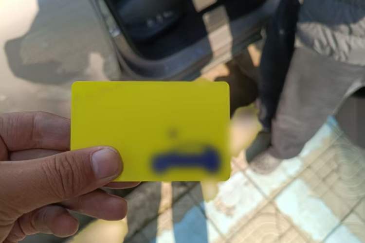 Used firefly firefly 2025 Illuminated Edition
