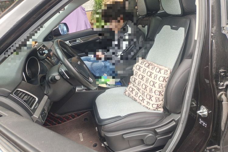 Used Haval H6 Coupe 2018 Blue Label 1.5T Automatic Two-Wheel Drive Luxury Model
