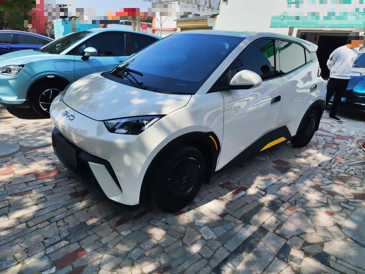 Parte inferior delantera