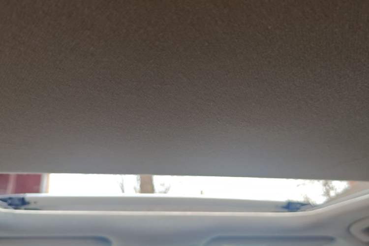 Used Toyota Corolla 2019 Dual-Engine 1.8L E-CVT GL-i Elite Edition Headliner