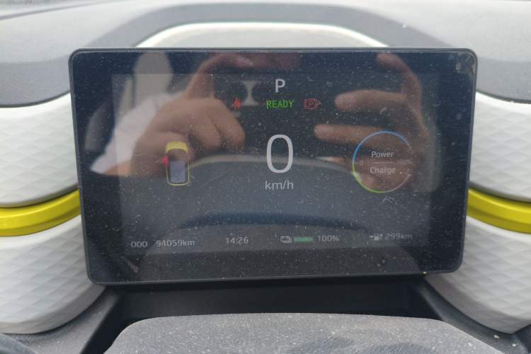 Used SOL E10X 2022 Flower Fairy Design Four-Leaf Clover
