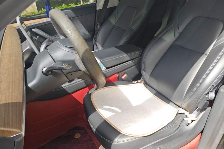 Used Tesla Model Y 2021 Standard Range Rear-Wheel Drive Version