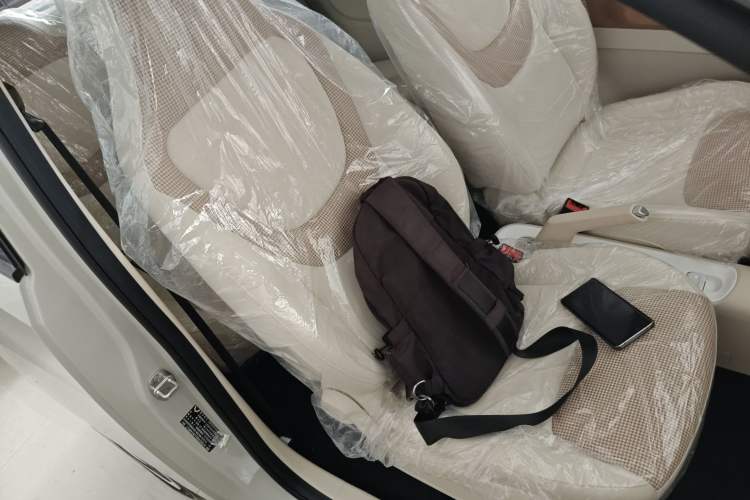 Used Wuling Hongguang MINIEV 2024 3rd Generation 215km Youth Edition Right Front Seat