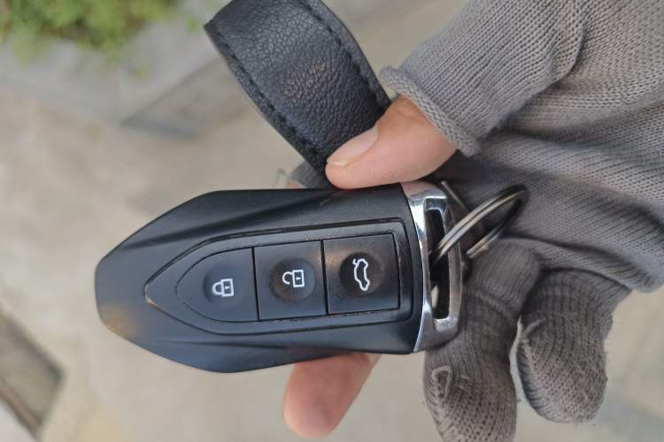 Used Leopaard CS10 2017 2.0T Automatic Luxury Model