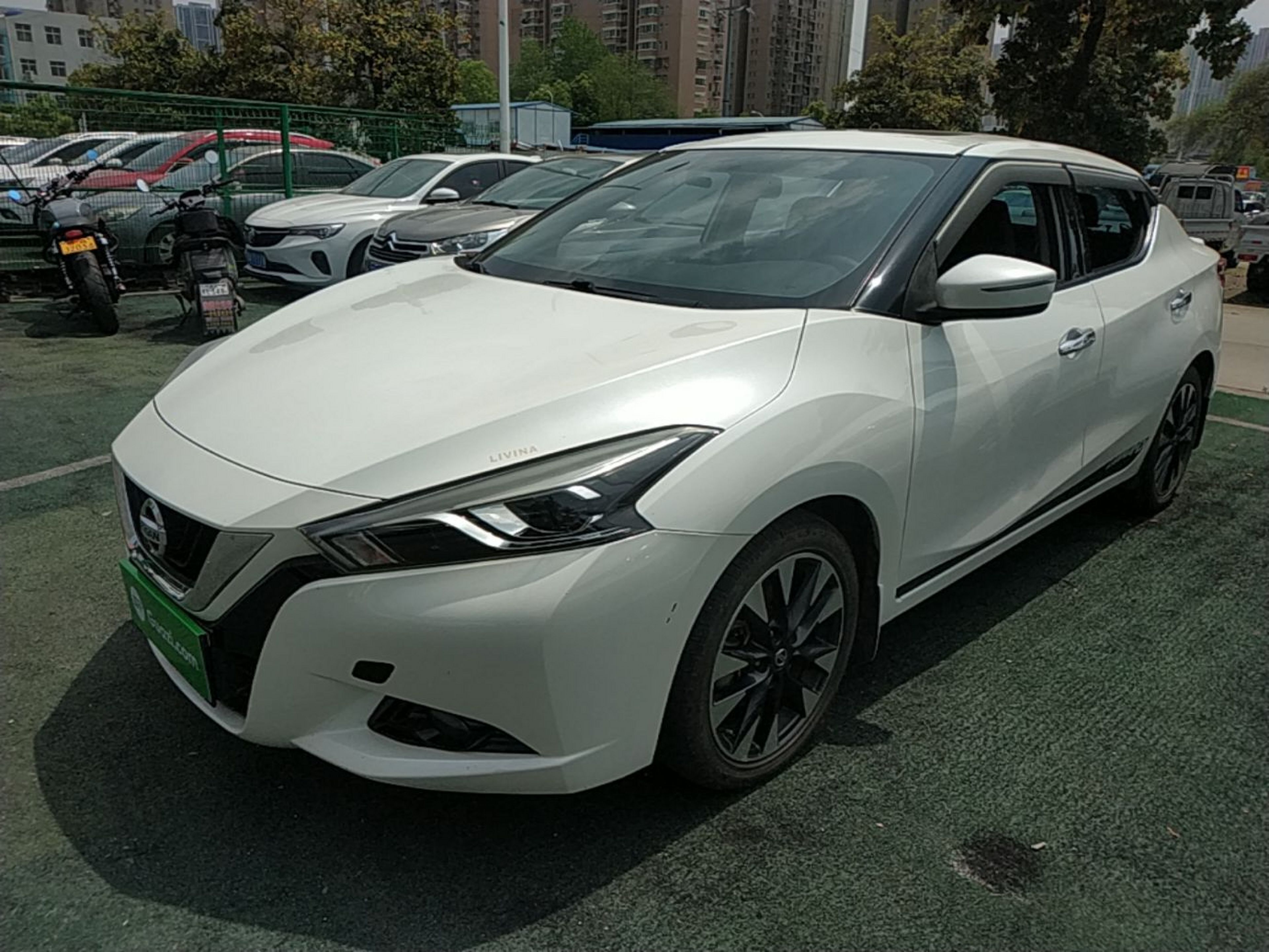 Parte inferior delantera