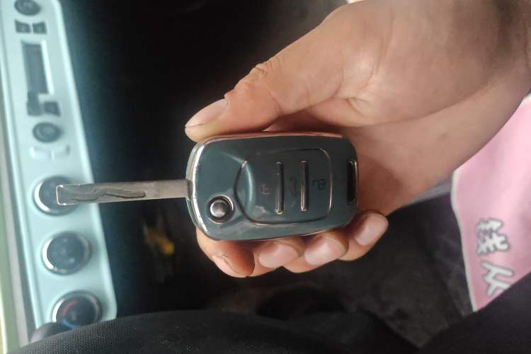 Used Wuling Hongguang MINIEV 2020 Enjoyment Model Lithium Iron Phosphate