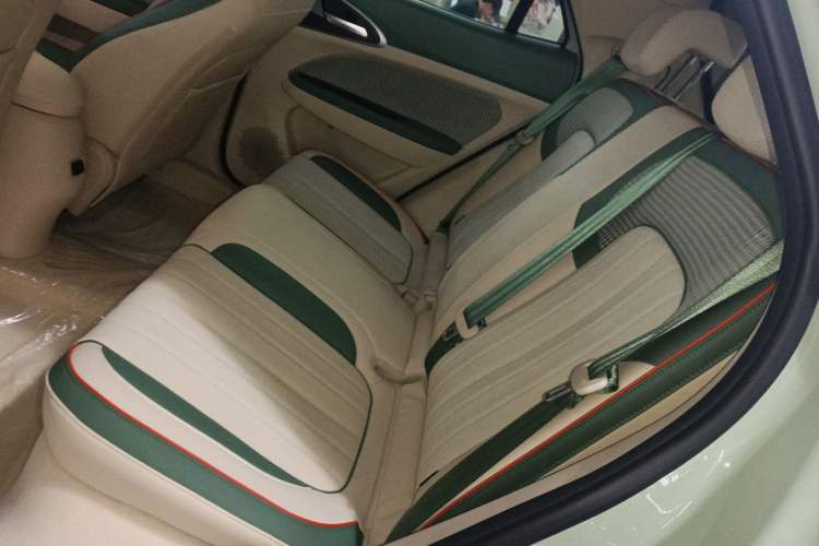 Used ORA Good Cat 2022 Morandi Edition 400km Standard Range Premium Version Lithium-Ion Battery Left Rear Seat