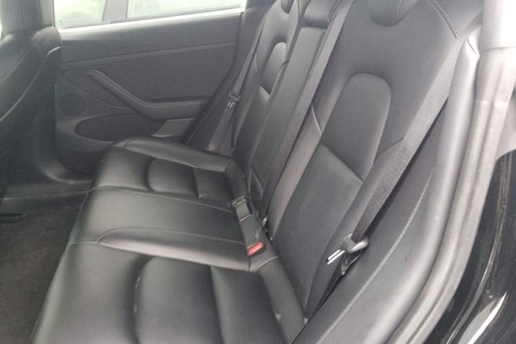 Used Tesla Model 3 2021 Revised Version Standard Range Rear-Wheel Drive Upgraded Edition 3D1