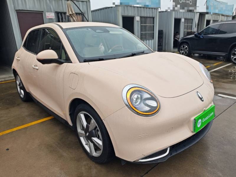 Used ORA Good Cat 2023 401 km Standard Range Luxury Version Lithium Iron Phosphate — 3