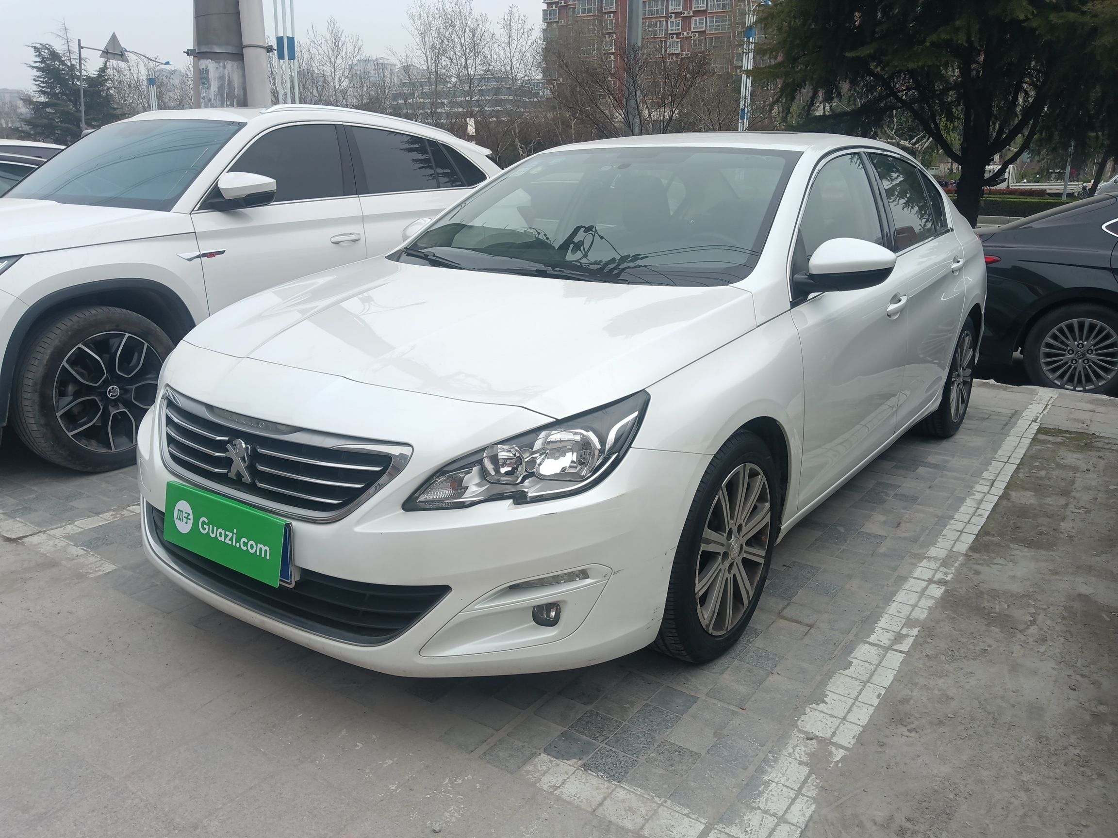 Parte inferior delantera