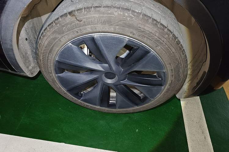 Used Tesla Model Y 2024 Rear-Wheel-Drive Version