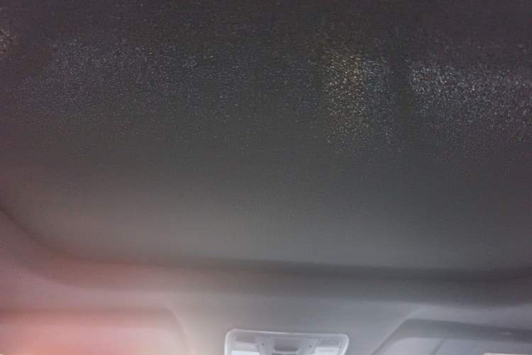 Used Ruichi S513 2020 Zhihao Model