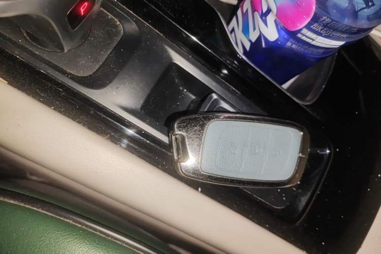 Used Foton General G9 2021 2.0T Armored Great General Automatic Two-Wheel Drive Leisure Edition Premium Version Standard Box 4G20TI5