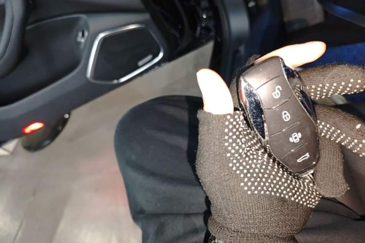 Used Hongqi H5 2024 2.0T Automatic Smart Connect Flagship Edition Vehicle Key