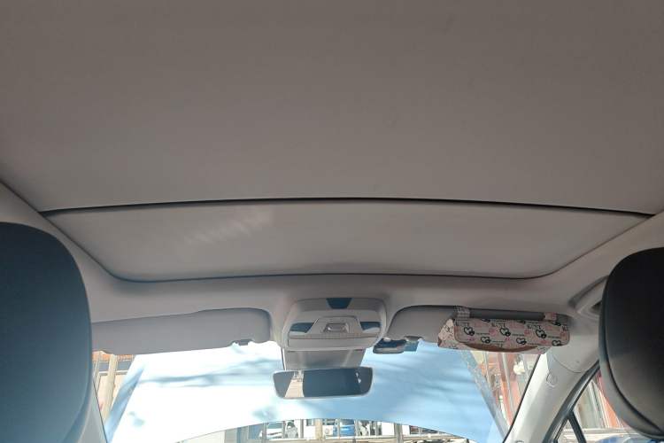 Used Geometry C 2020 Selected Range Edition 550 KM C++ Pro Headliner