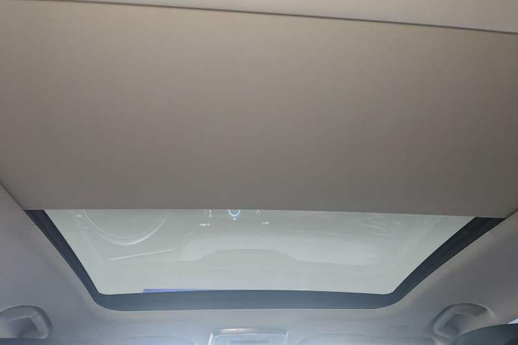 Used Hongqi H9 2020 2.0T Smart Connect Flagship Edition Headliner