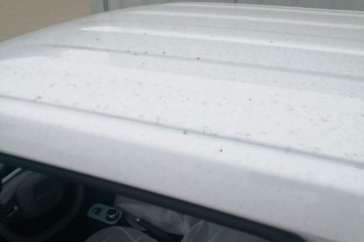 Used Geely Galaxy Panda 2024 Panda Mini 200km Endurance Bear