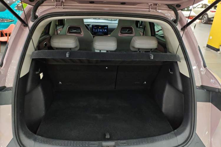 Used BYD Yuan UP 2024 401KM Beyond Edition
