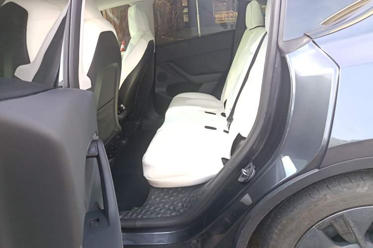 Used Tesla Model Y 2024 Rear-Wheel-Drive Version Left Rear Seat