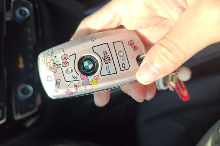 Used BMW 3 Series 2016 320Li Ambition Model