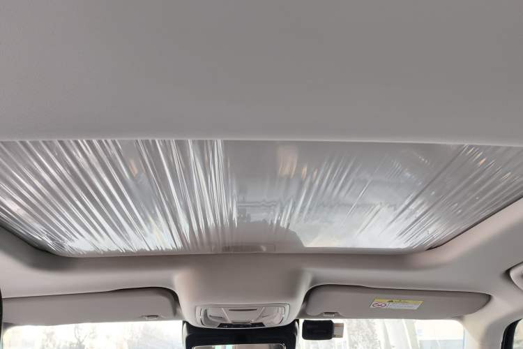 Used Tank 300 2024 2.0T Conqueror
