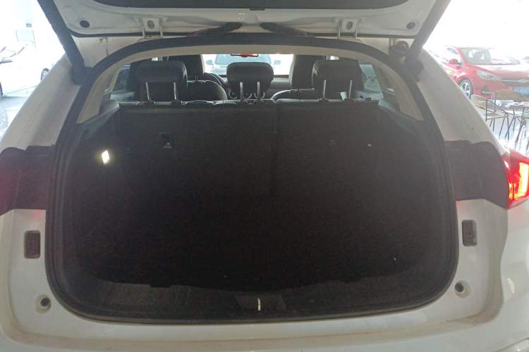 Used Wey VV5 2021 1.5T Two-Wheel Drive Smart Pioneer