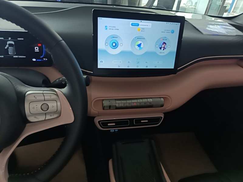 Used BYD Seagull 2025 305 km Free Version — 12