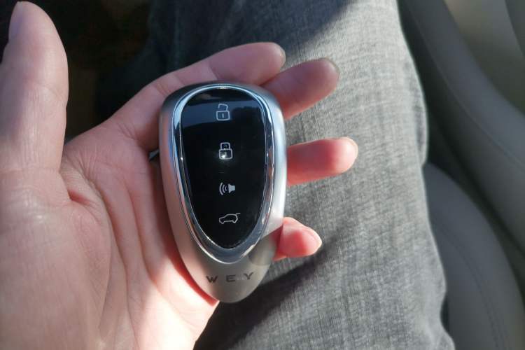 Used Wey Mocha New Energy 2023 Two-Wheel Drive Long-Range Version