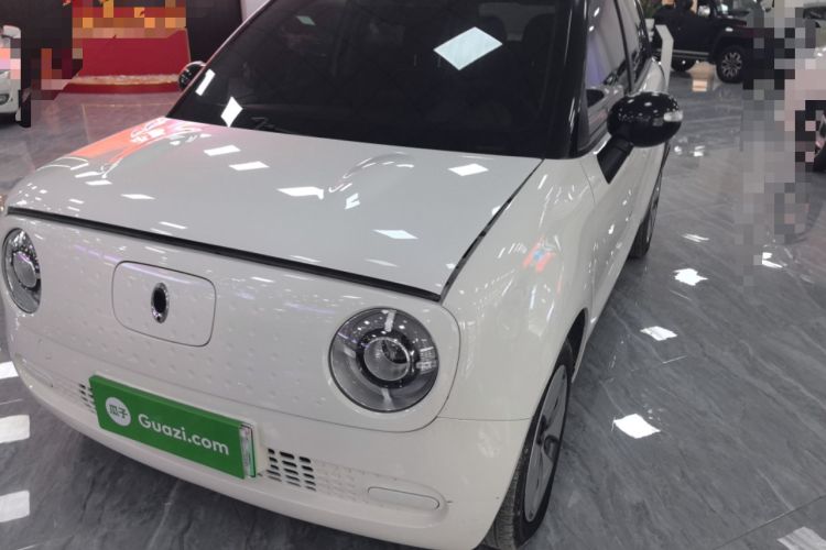 Used ORA Black Cat 2019 310km Fun Edition
