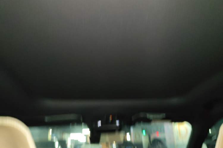 Used Geely Auto Monjaro L 2024 2.0TD DCT EVO Two-Wheel Drive Long-Range Version Headliner