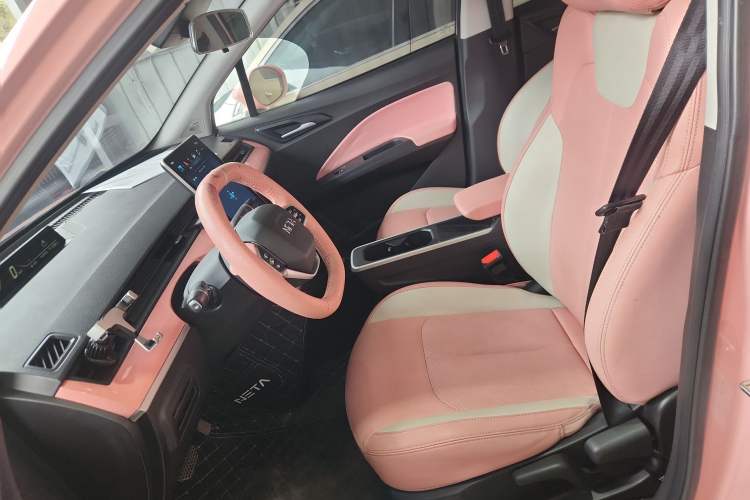 Used NETA V 2021 Witch Edition
