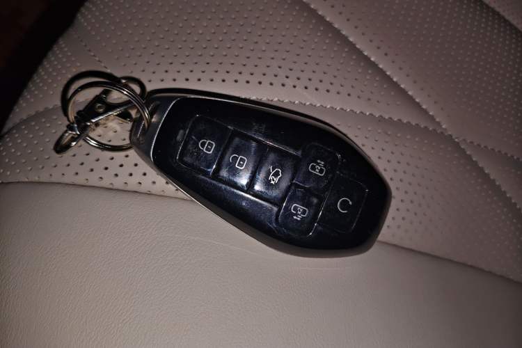 Used Denza D9 2025 DM-i Intelligent Drive 1020 Four-Wheel Drive Prestige Model
