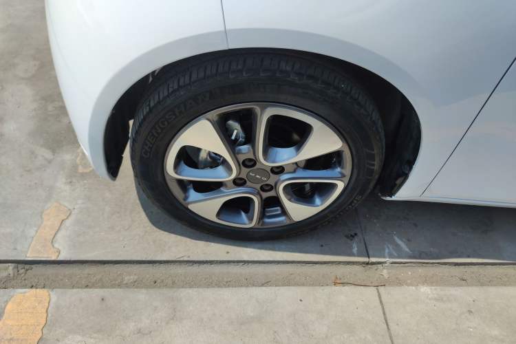 Used ORA White Cat 2020 305 km Luxury Version