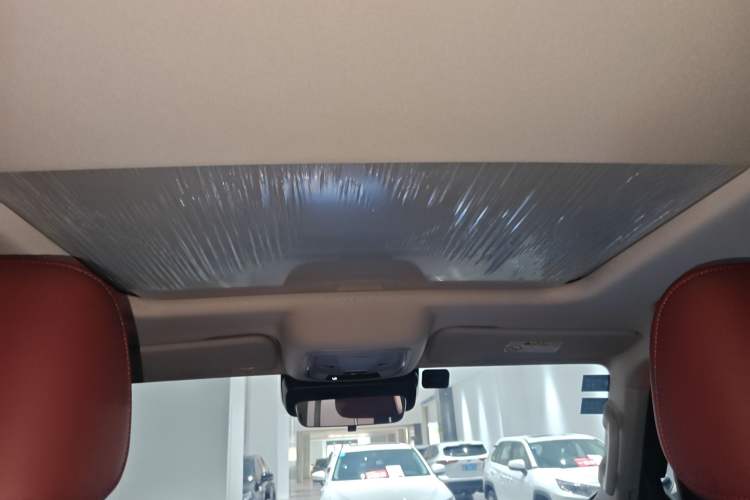 Used Tank 300 2024 2.0T Conqueror