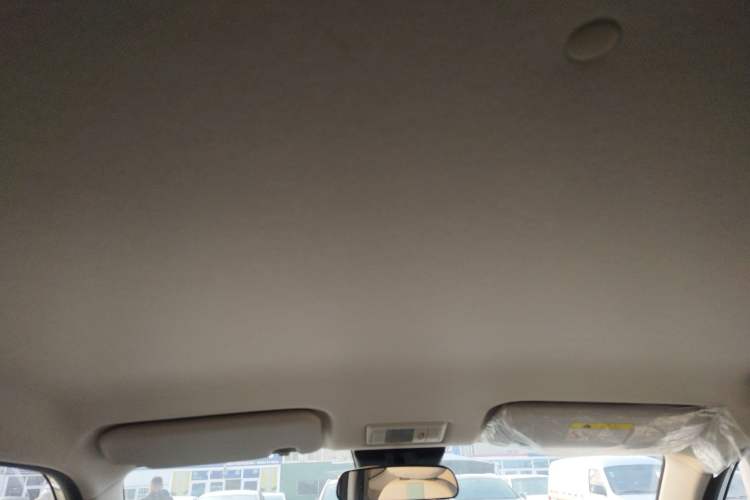 Used Qiyuan Lumin 2023 205km Xiangqin Version