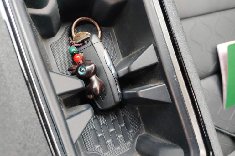 Used Haval DARGO 2022 1.5T DCT Two-Wheel Drive Border Collie Edition