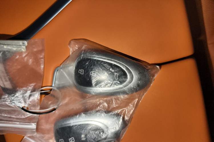 Used Wey Lanshan 2023 Four-Wheel Drive Ultra-Long Range Version Vehicle Key