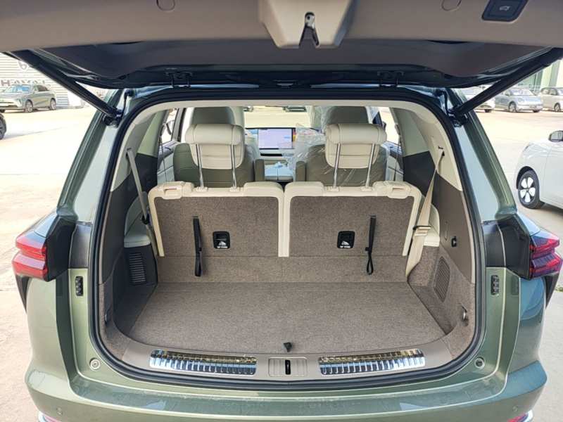 Used Wey Lanshan 2025 Four-Wheel Drive Max — 18