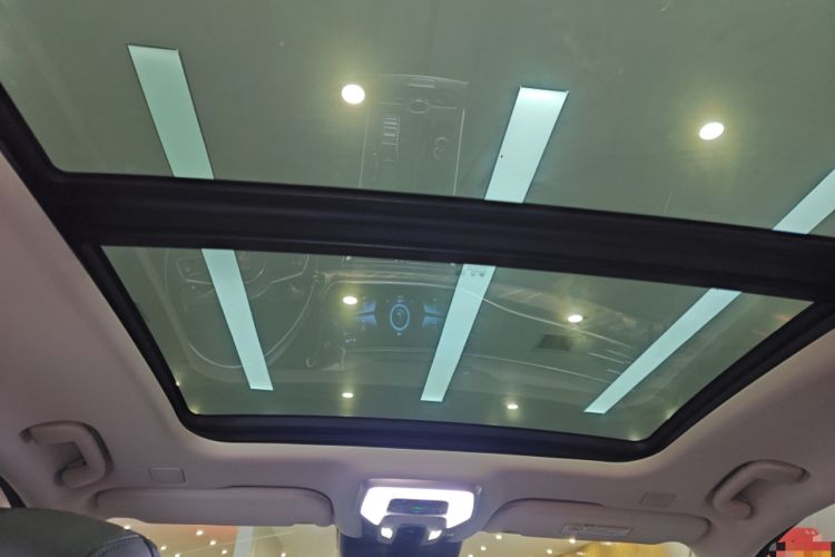 Used Hongqi H9 2020 2.0T Smart Connect Flagship Edition Headliner