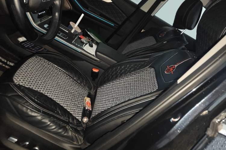 Used EXEED Lingyun 2021 290T Two-Wheel Drive Starry Edition