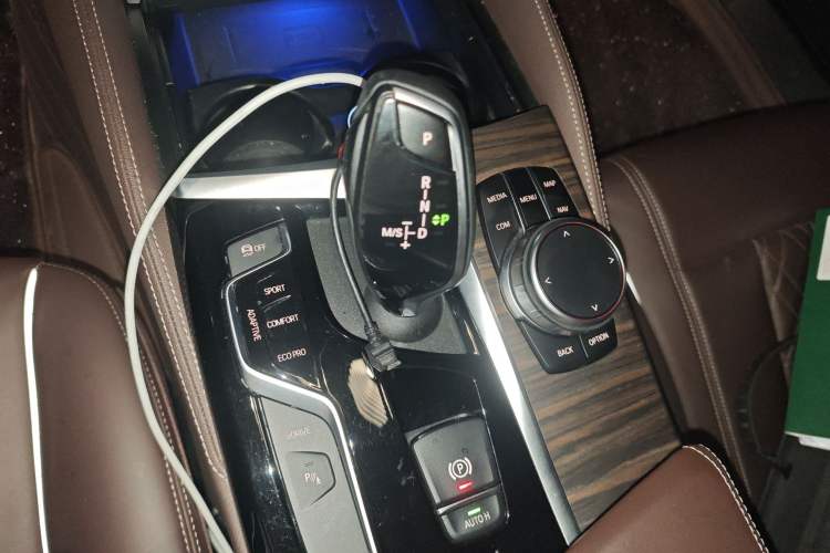 Used BMW 5 Series New Energy 2020 530Le Luxury Package