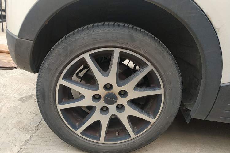 Used Dayun Yuehu 2021 32.85 kWh Two-Wheel-Drive Sprite Version