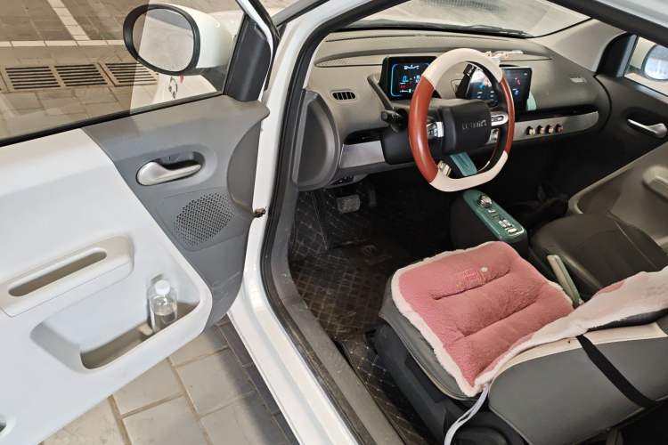 Used Qiyuan Lumin 2022 155 km – Refreshingly Sweet Edition
