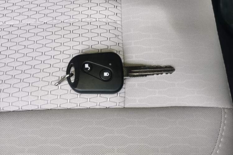 Used SRM New Energy E3 2025 Fudi 310KM Practical Passenger Vehicle
