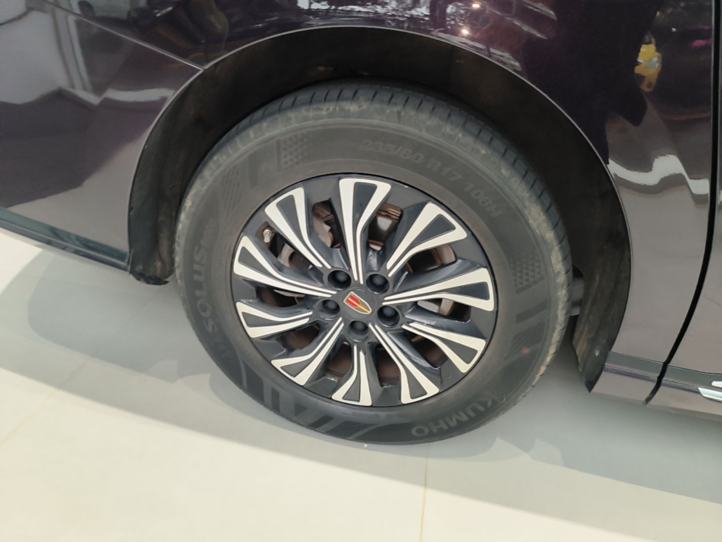 Hongqi HQ9 PHEV 2024 2.0T Four-Wheel Drive Luxury Edition — снимка 11