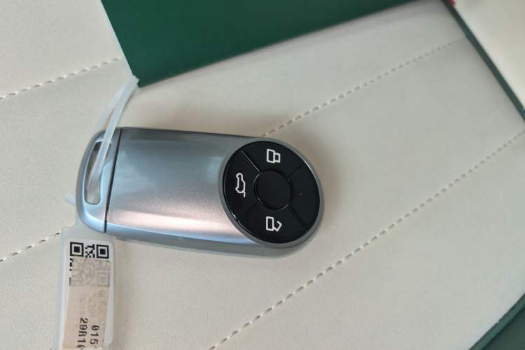 Used ORA Good Cat 2023 401 km Standard Range Luxury Version Lithium Iron Phosphate